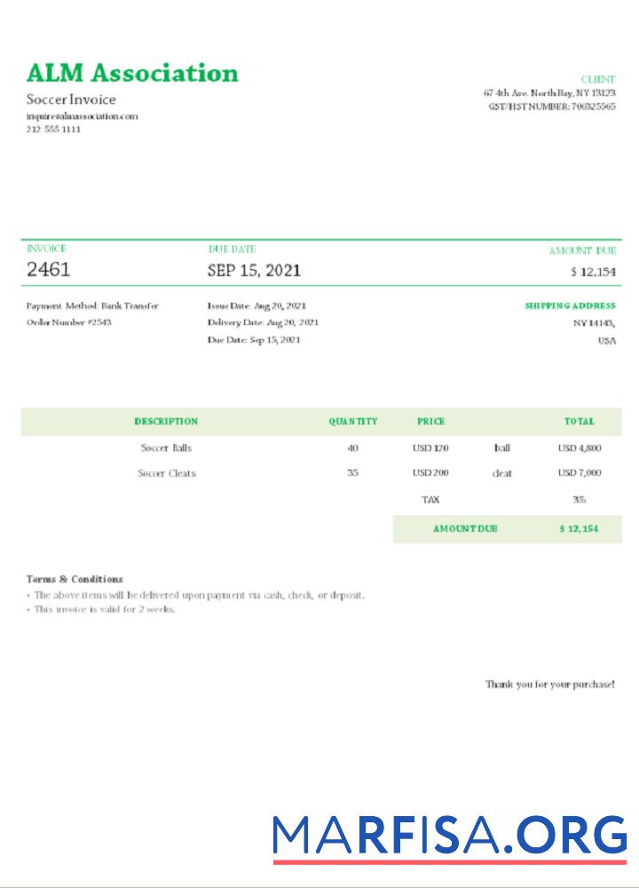 Downloadable USA ALM Association invoice template